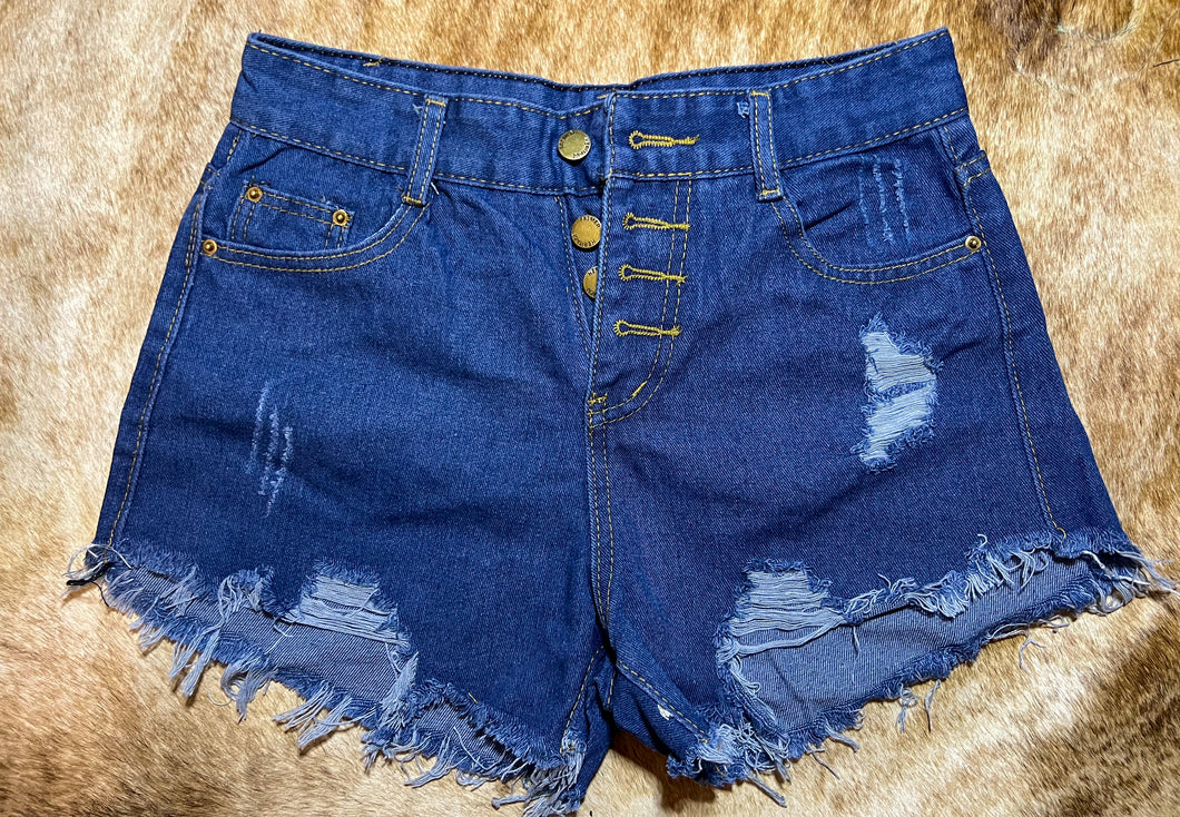 Denim Blue Shorts